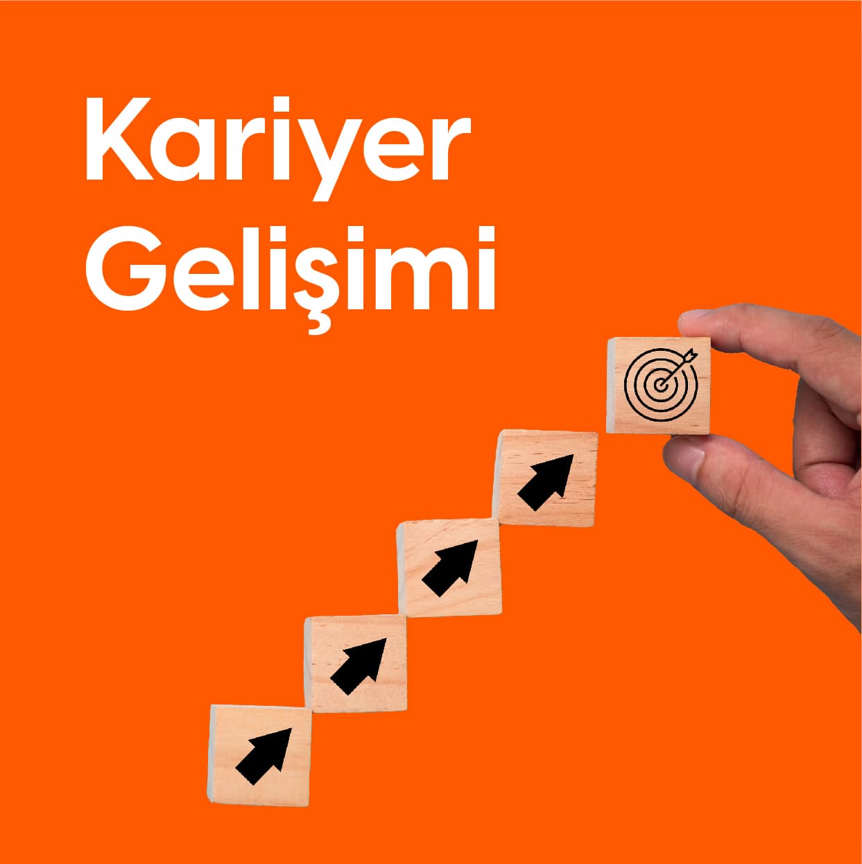 Kariyer Gelişimi